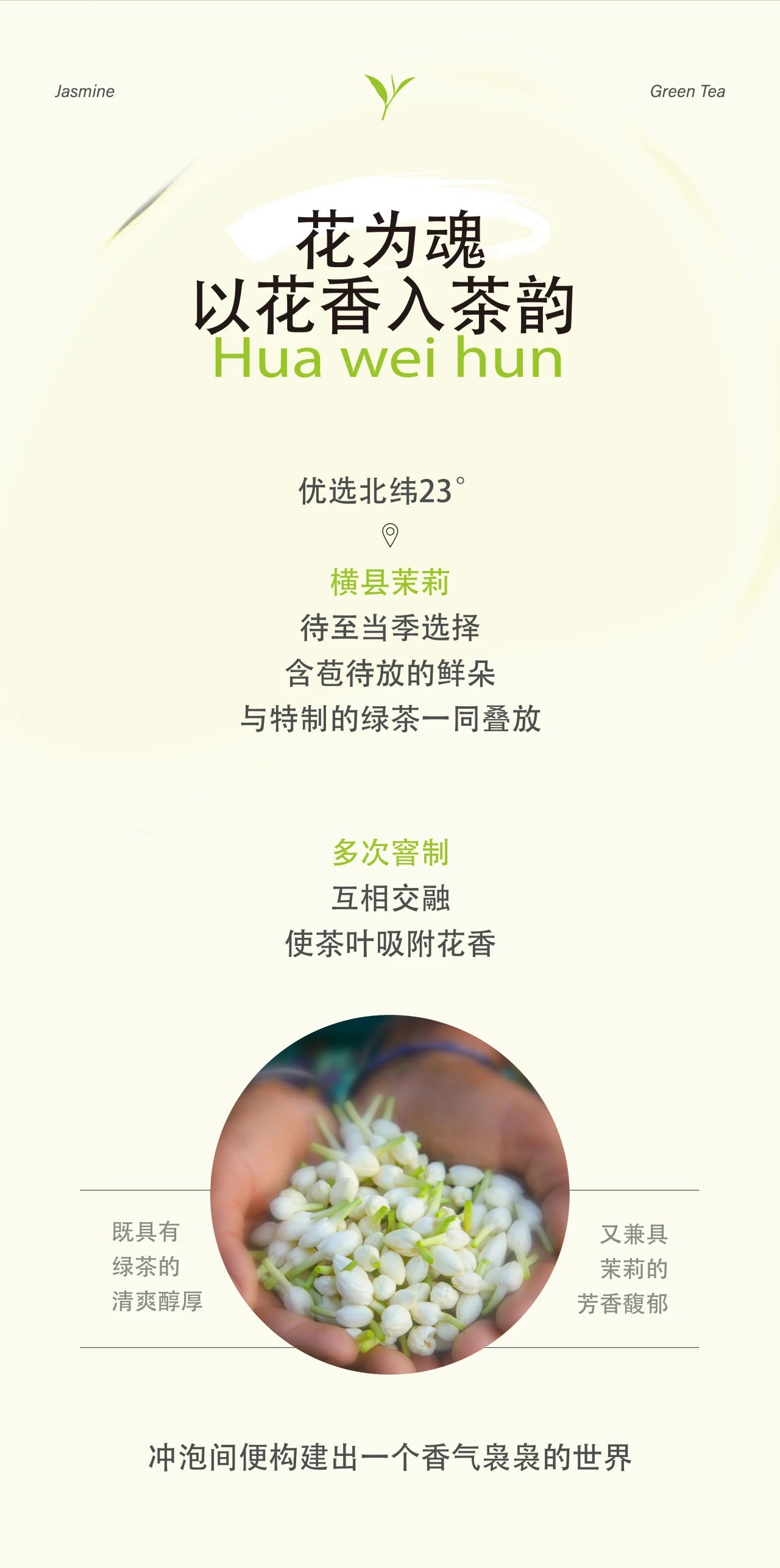 一口青梅綠，一段梅好時光